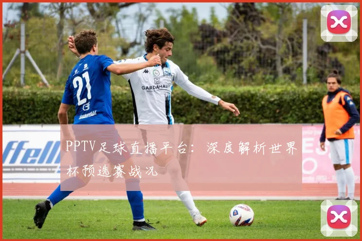 PPTV足球直播平台：深度解析世界杯预选赛战况