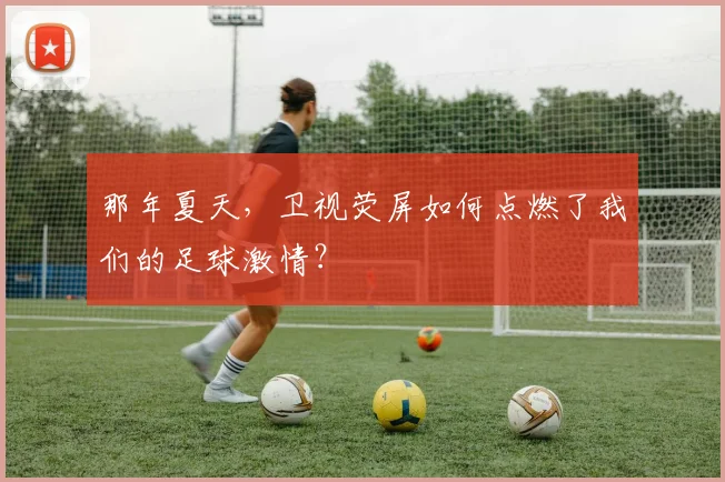 那年夏天，卫视荧屏如何点燃了我们的足球激情？