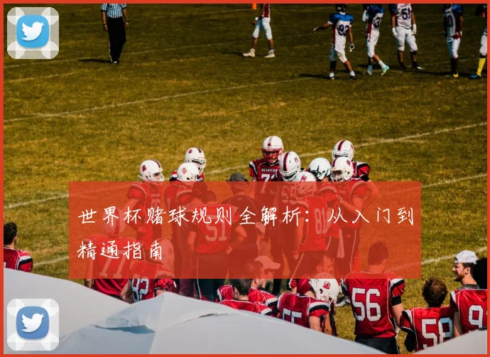 世界杯赌球规则全解析:从入门到精通指南