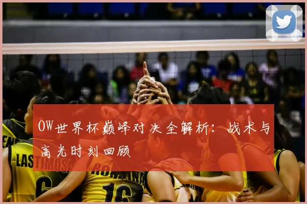 OW世界杯巅峰对决全解析:战术与高光时刻回顾
