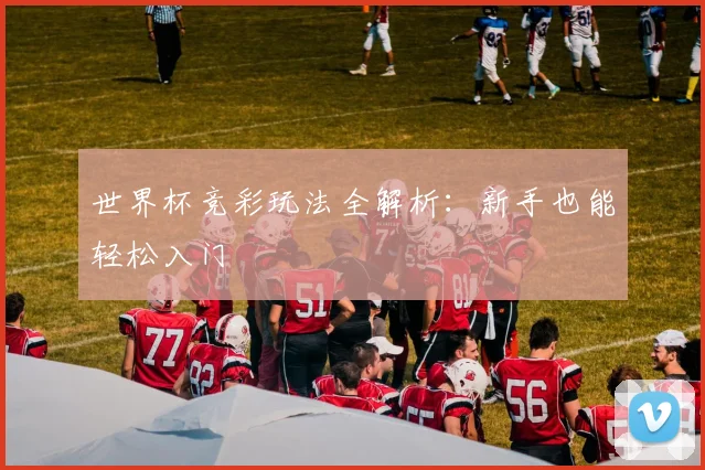 世界杯竞彩玩法全解析：新手也能轻松入门