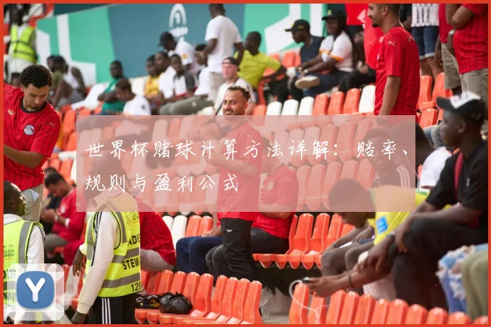 世界杯赌球计算方法详解：赔率、规则与盈利公式