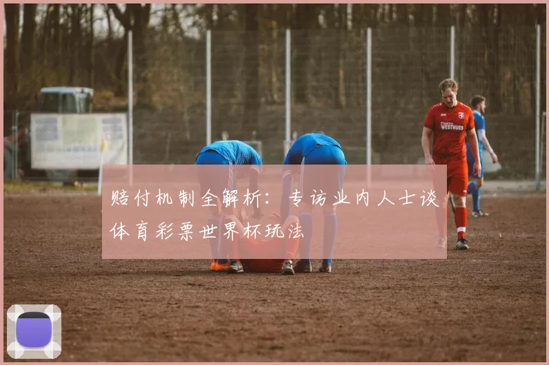 赔付机制全解析：专访业内人士谈体育彩票世界杯玩法