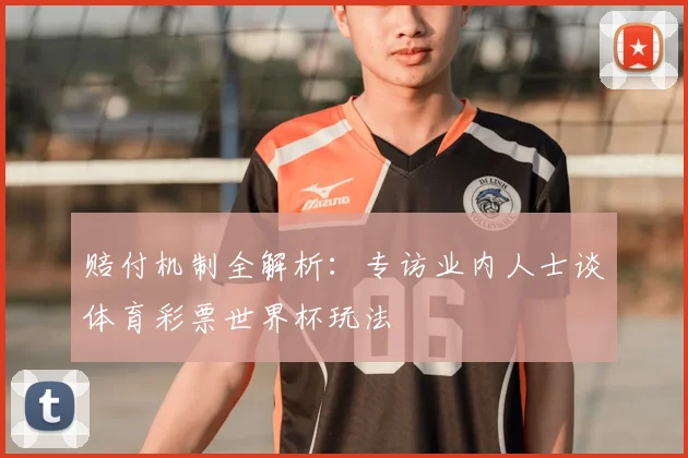 赔付机制全解析:专访业内人士谈体育彩票世界杯玩法