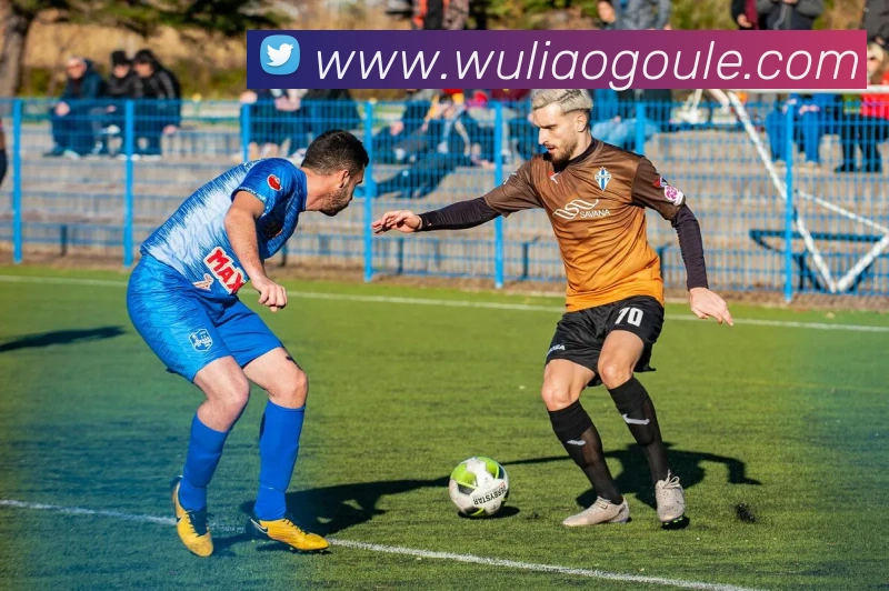 kb体育平台生态图